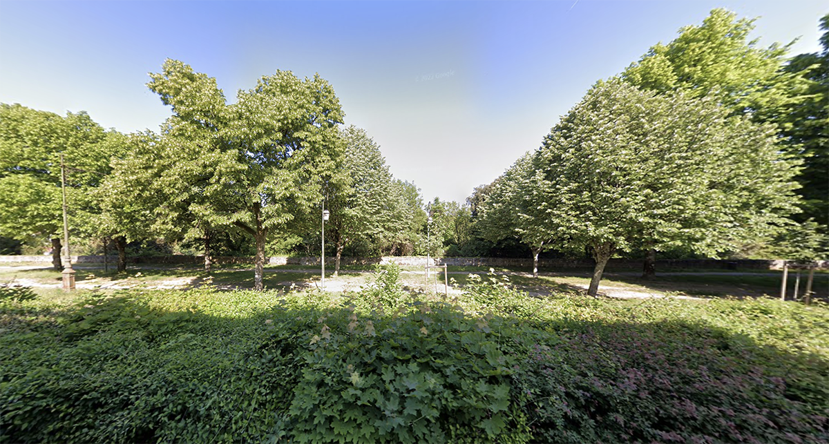 Un esplanade platée d'arbre et bordée de d'une haie.